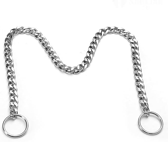 Dog Choke Collar Dogs Chain Choker Metal Slip P Link Training Collar Pet Puppy Martingale Collars for XS Small Medium Large Big XL Breed Dogs Silver (Silver, S(Neck Max 16inch) D2.5mm)