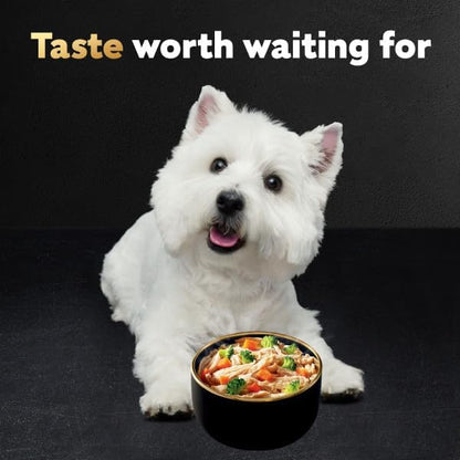 Cesar Warm Bowls Wet Dog Food Variety Pack: Chicken & Beef; and Chicken Entrees, Wet Food for Dogs, 2.7 oz Bowls, 6 Count (Pack of 2)