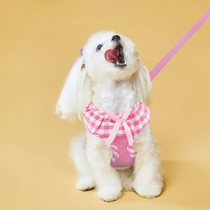 EXPAWLORER Cute Dog Harness and Leash Set - Pink Girl Dog Harness Checkered Step-in Design, Easy Adjustable No-Choke Lightweight Breathable Vest for Puppy Small Dogs Cats Outdoor Walking, X-Small