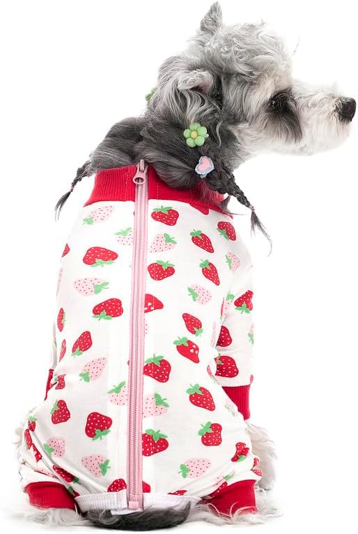 Dog Surgery Recovery Suit, Dog Onesie for Surgery Female Male Dogs, Dogs Pajamas Long Sleeve, Small Dogs Onesie, Abdominal Wound Bandages Surgical Suit, Cat Recovery Suit for Shedding Skin Disease