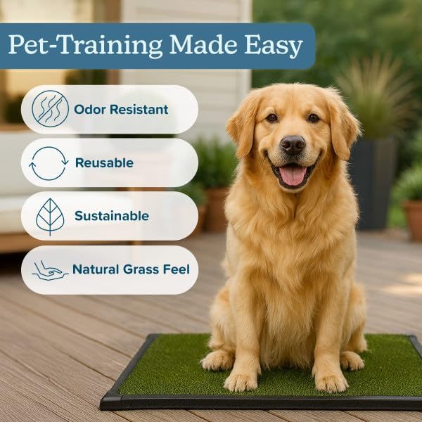 Artificial Grass Puppy Pee Pad for Dogs and Small Pets - 20x30 Inch, Reusable 3-Layer Turf Pads for Dogs with Tray - Indoor and Outdoor Fake Grass Potty Pet Supplies by PETMAKER