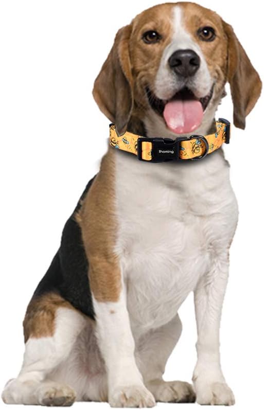 Ihoming Dog Collar and Leash Set for Daily Outdoor Walking Running Training, Bee Design for Medium Boys Girls Dogs Cats Pets, M-Up to 45LBS
