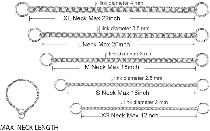 Dog Chain Collars Slip P Chain Metal Link Dog Collar Training Heavy Duty Martingale Puppy Collar for XS Small Medium Large Big XL Breed Dogs (Silver, XS)
