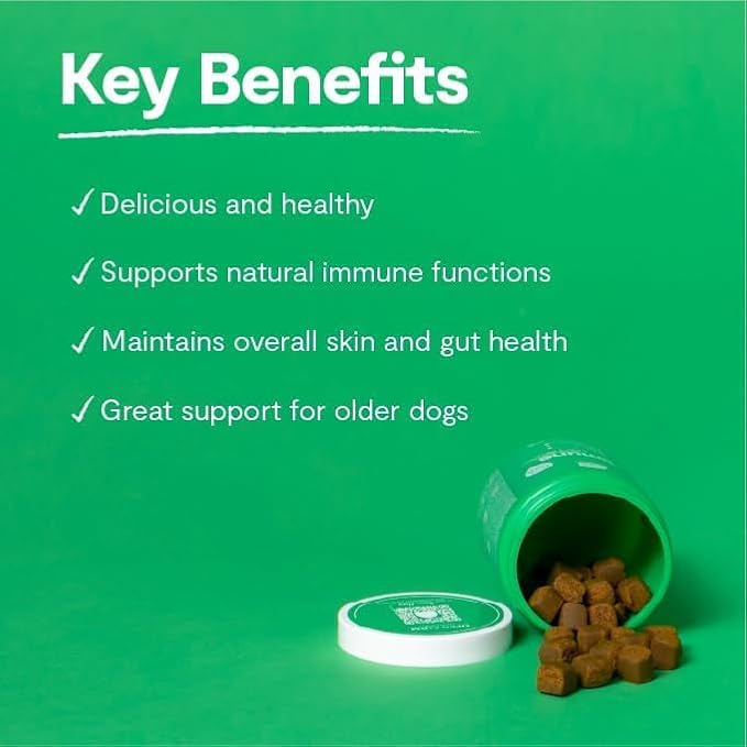 Open Farm Immune Chews, Dog Supplement with Plant-Based Ingredients and Probiotics for Immune and Skin Support, 12.7 oz, 90 Count
