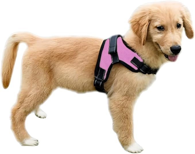 No Pull Reflective Adjustable Dog Harness With Handle- Comfortable Soft All Weather Mesh, Easy On Puppy Harness For Small Medium and Large Dogs (Pink) Medium