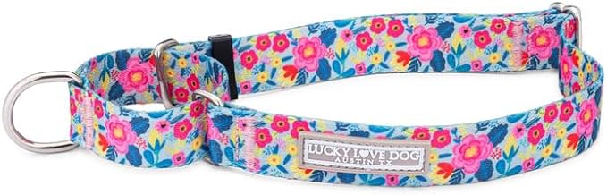 Lucky Love Dog Martingale Dog Collar - Adjustable, No-Slip, Durable, & Soft Webbing Collar for Male and Female Dogs Ideal for Training & Walking - Valentina, Medium