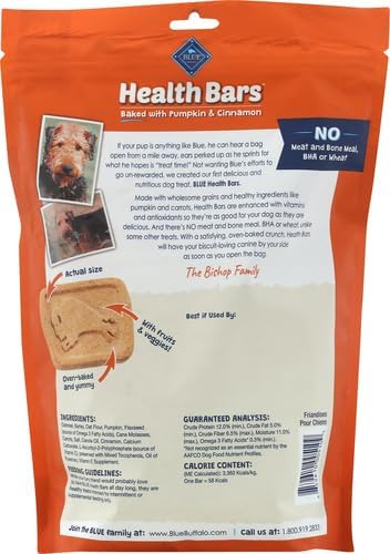 Blue Buffalo Health Bars Crunchy Dog Biscuits, Oven-Baked with Natural Ingredients, Pumpkin & Cinnamon, 16-oz Bag (Pack of 2)