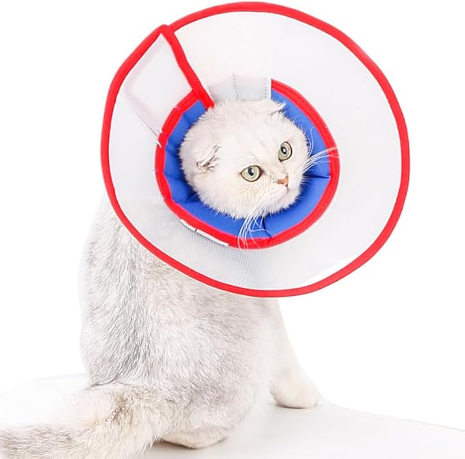 BESPORTBLE Adjustable Dog Recovery Collar Cone - Lightweight Anti-Scratch Neck Cone for Dogs and Cats Post Surgery Wound Protection with Adjustable Strap 9.84In