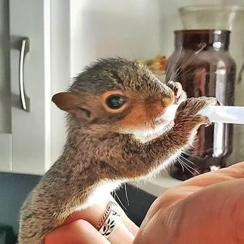 Milk Replacer - Healthy Powdered Formula Ideal for Baby Squirrels, Rabbits, Opossums, Raccoons | 100% Instantized for Mixing Digestible Proteins | 8.8oz (Specialty Milk Replacer 8.8 oz.)