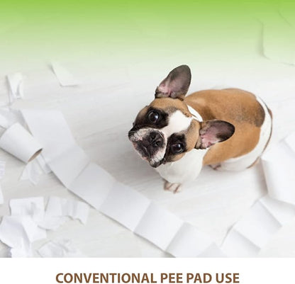 BANU Puppy Pee Pad Holder Indoor Outdoor Dog Potty Toilet Training Tray 20" x 16" for Small and Medium Dogs (Ivory)