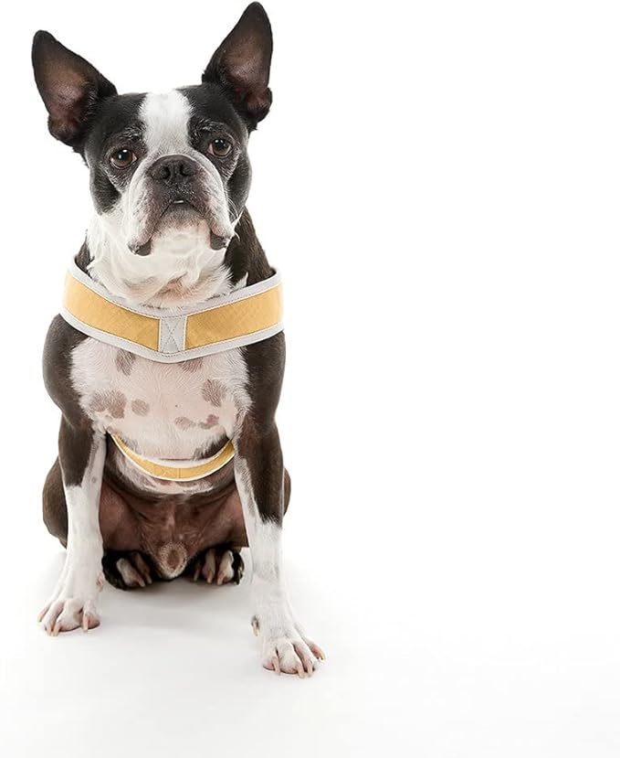 Gooby Simple Step in III Harness - Yellow, Large - Small Dog Harness with Scratch Resistant Outer Vest - Soft Inner Mesh Harness for Small, Medium Dogs