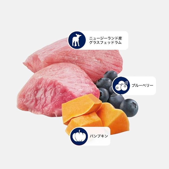 Mini Lamb & Blueberry Grain Free Pumpkin Dog Food by Farmina