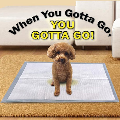 Scoochie Pets Large Dog Training Pads - 12 Pack Puppy Pads, 22 x 22 Absorbent Sheets for Adult & Young Pets - Convenient Box of Leak-Proof Pee Pads for Dogs, Ideal for Home & Travel