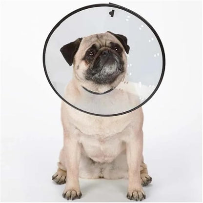 Elizabethan Dog and Cat Collars Recovery Vet Chewing Healthy Behavior Cone of Shame (Clear, Medium - Fits 8.5" to 14.5 ' Necks)