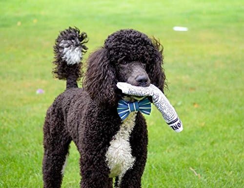 Pet Qwerks Plush Interactive Dog Toys - Newspaper Squeaker Toy - 10 in,Large Breeds (Pack of 3)