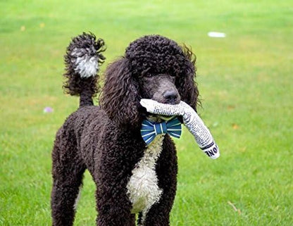 Pet Qwerks Plush Interactive Dog Toys - Newspaper Squeaker Toy - 10 in,Large Breeds (Pack of 3)