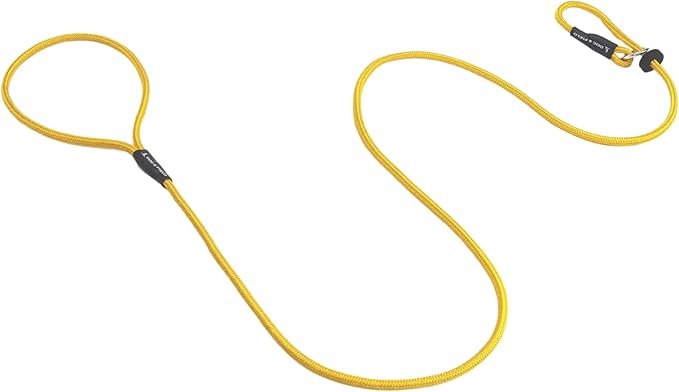 Dog & Field Signature Slip Lead for Dogs, Yellow. 4ft Lightweight Dog Slip Leash with Sliding Rubber Stopper. Training Lead for Dogs, Thin Slip Lead, No Collar or Harness Needed (Yellow)