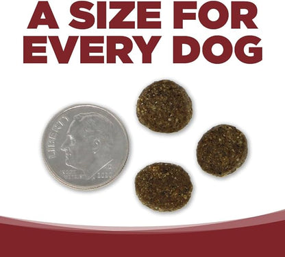 NutriSource Pure Vita Beef & Kale Dog Food, 4LB