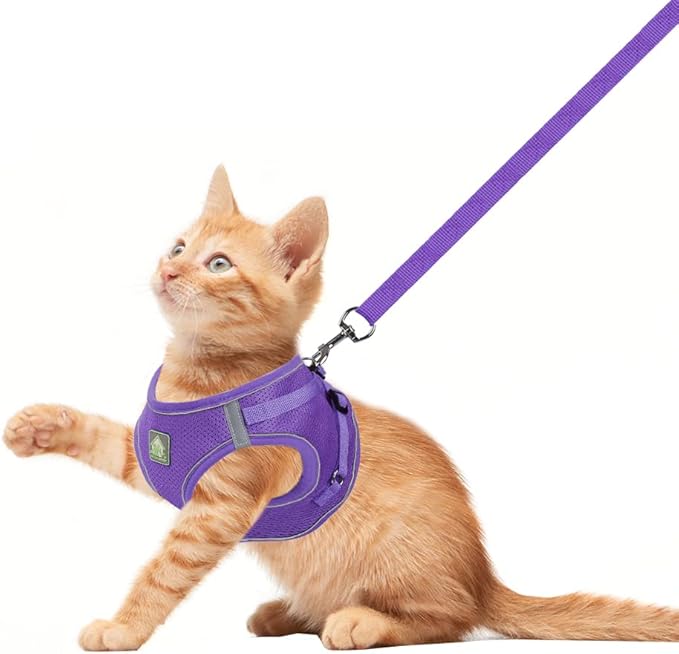 FEimaX Dog Harness and Leash Set, No-Pull Breathable Soft Mesh Puppy Vest Harness Reflective Adjustable Pet Harnesses for Small Medium Dogs and Cats - Outdoor Easy Control for Walking