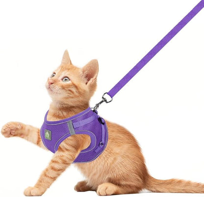 FEimaX Dog Harness and Leash Set, No-Pull Breathable Soft Mesh Puppy Vest Harness Reflective Adjustable Pet Harnesses for Small Medium Dogs and Cats - Outdoor Easy Control for Walking