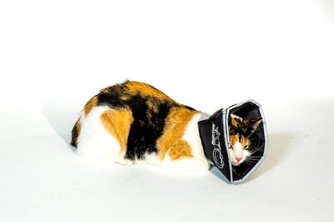 All Four Paws Comfy Cone Pet Cone for Dogs, Cats, Small, Black - Comfortable Soft Dog Cone Collar Alternative for After Surgery, Wound Care, Spay, Neuter - Dog and Cat Recovery Elizabethan-Collar