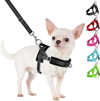 SlowTon No Pull Small Dog Harness and Leash Set, Puppy Soft Vest Harness Neck & Chest Adjustable, Reflective Lightweight Harness & Anti-Twist Pet Lead Combo for Small Medium Dogs (Black, S)