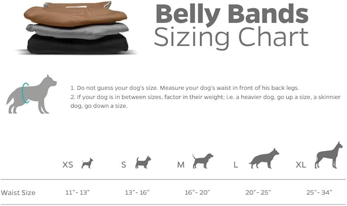 Pet Parents® Washable Belly Bands for Male Dogs (3pack) + Extendrs® of Durable Dog Diapers Male, Premium Male Dog Diapers & Dog Wraps (X-Large, Natural)