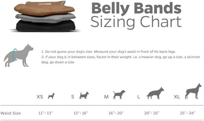 Pet Parents® Washable Belly Bands for Male Dogs (3pack) + Extendrs® of Durable Dog Diapers Male, Premium Male Dog Diapers & Dog Wraps (X-Large, Natural)
