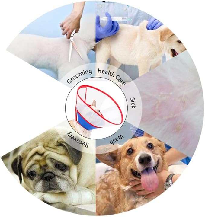 BESPORTBLE Adjustable Dog Recovery Collar Cone - Lightweight Anti-Scratch Neck Cone for Dogs and Cats Post Surgery Wound Protection with Adjustable Strap 9.84In