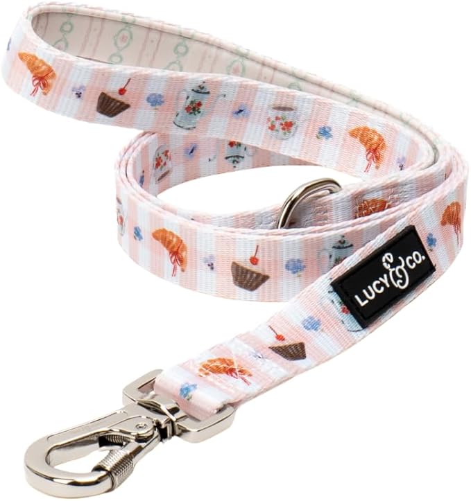 Lucy & Co. Sipping Slowly Dog Leash, Durable Matching Dog Lead with Heavy Duty Hardware, Large