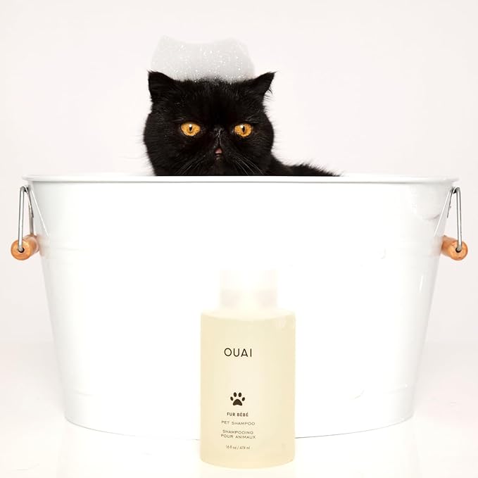 OUAI Fur Bébé Pet Shampoo - Cat & Dog Shampoo for Gentle Cleansing, Hydration & Shine - Vegan & Cruelty-Free Pet Supplies with Aloe Vera & Panthenol - Mercer Street Scent (16 Fl oz)