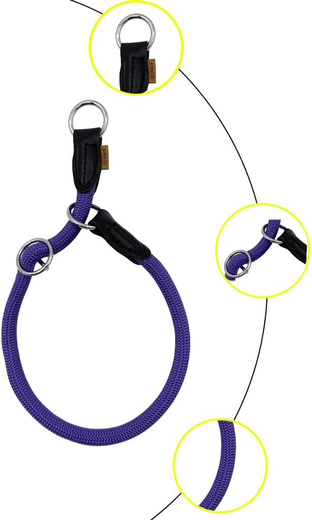 Braided Round Martingale Dog Collar, Training Collar with Slidable Stop Ring - Ideal for Small Medium Dogs (M- (1/3") - 18" Long, Purple)