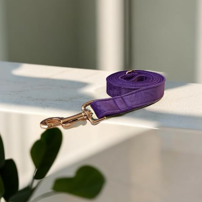 Love Dream Velvet Dog Collar and Leash Set, Soft & Comfy Adjustable Dog Leash and Collar with Heavy Duty Metal Buckle for Small Medium Large Dogs Training & Walking (Small, Dark Purple)