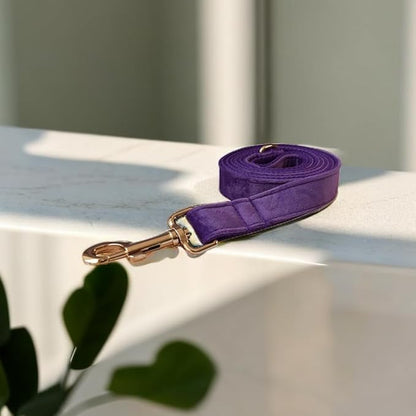 Love Dream Velvet Dog Collar and Leash Set, Soft & Comfy Adjustable Dog Leash and Collar with Heavy Duty Metal Buckle for Small Medium Large Dogs Training & Walking (Small, Dark Purple)