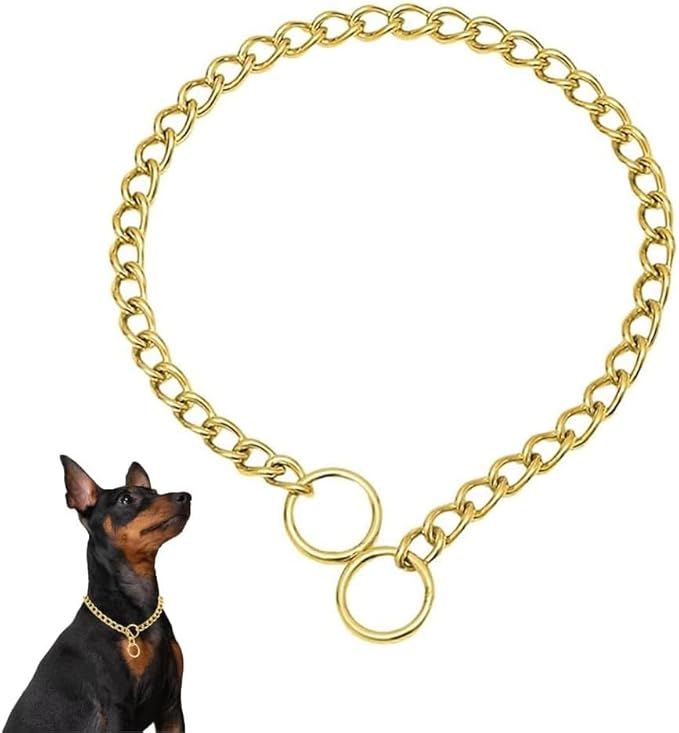 Dog Choke Collar Slip P Chain,Heavy Chain Dog Metal Training Choke Collars, Martingale Puppy Collars for XS Small Medium Large Big XL Breed Dogs (Gold, XL(Neck Max 22inch) D4.0mm)