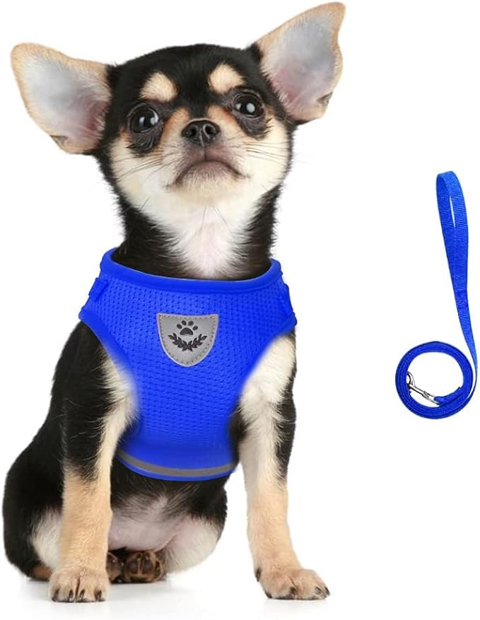 FEimaX Dog Harness and Leash Set for Walking, Soft Mesh Adjustable Easy Control Lightweight Cat Vest Harnesses with Reflective Strips, Escape Proof Small Dogs Cats Vests (Blue, Small)