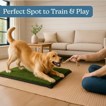 Artificial Grass Puppy Pee Pad for Dogs and Small Pets - 20x30 Inch, Reusable 3-Layer Turf Pads for Dogs with Tray - Indoor and Outdoor Fake Grass Potty Pet Supplies by PETMAKER