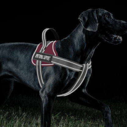 voopet Emotional Support Dog Harness, Professional Service Dog Vest Harness for Small Medium Large Dogs, Reflective Breathable and Adjustable No Pull/Choke ESA Essential Harness