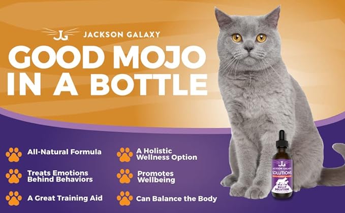 Jackson Galaxy: Bully Solution (2 oz.) - Pet Solution - Promotes Relaxation and Calmness - Can Support Bullying and Dominance - All-Natural Formula - Reiki Energy