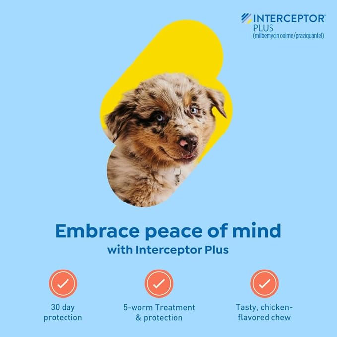 Interceptor Plus Prevention for Heartworm + 4 Other Worms for Dogs 2-8 lbs. | 6 Chews, 6-Month Supply