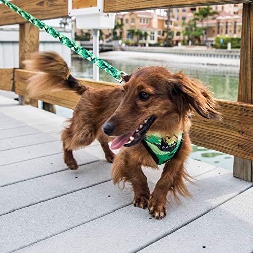 EcoBark Dog Leash - Soft & Reflective Comfort Leashes with Padded Handle - Safe, Strong, & Durable for Small, Medium or Large Dogs (Camo)