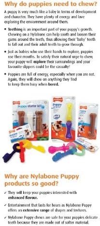 Nylabone Original Bone Flexi Chew Toy for Dogs, Dog Toys for Moderate Chewers, Dog Chew Bones, Chicken & Original Flavor, For X-Small Dogs - Up to 15 lbs, 3 Pack