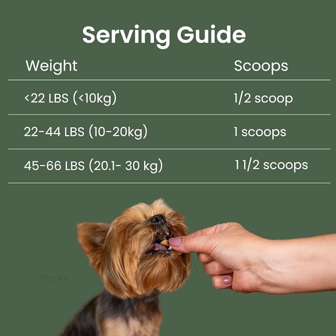 Dog Probiotic Powder for Digestive Support | 5 Billion CFU | Gut Health & Immunity Support | Mix-in Powder | 60g | Unflavoured (60g)