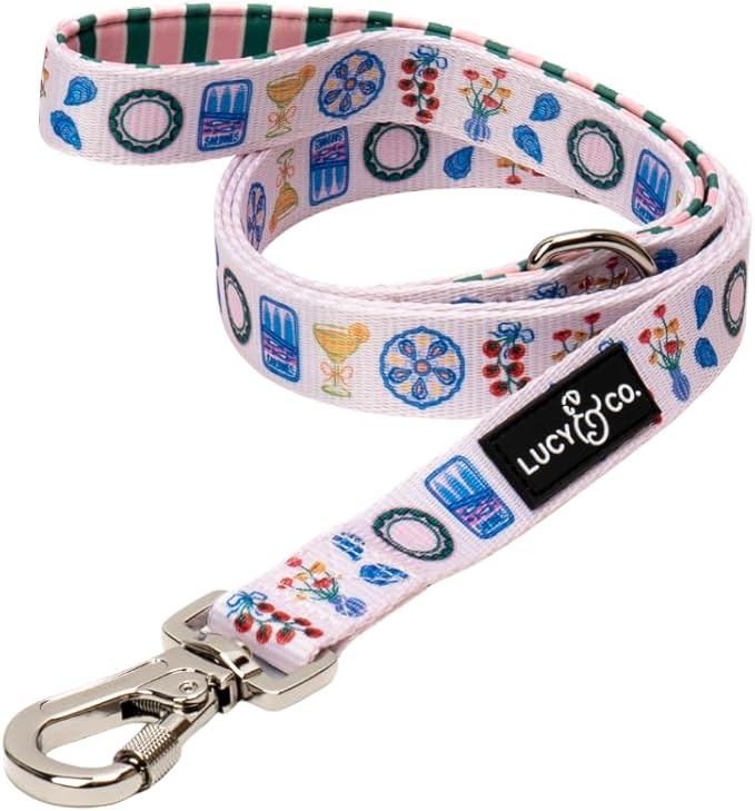 Lucy & Co. Dolce Vita Dog Leash, Durable Matching Dog Lead with Heavy Duty Hardware, Small