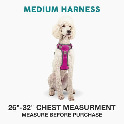 Embark Adventure Dog Harness for Medium Dogs – No Pull, Reflective Trim, Military Grade Nylon, Front Clip, Gel-Lined Handle