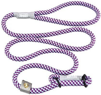 Cesar Millan Slip Lead Leash | Dog Leash | in Training Leash | (Regular, Aqua/Purple)