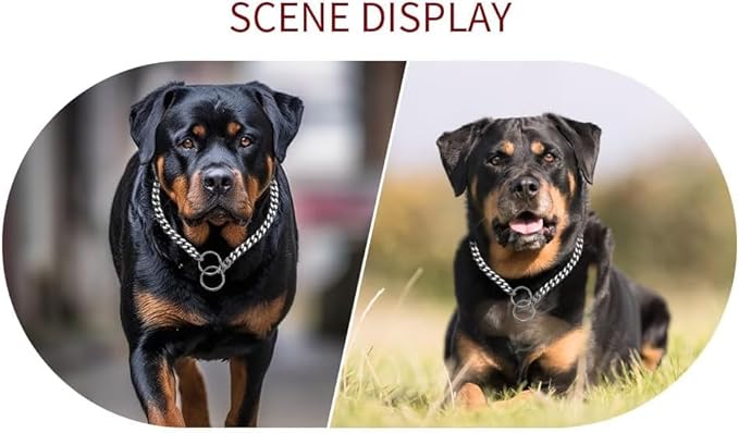 Dog Choke Collar Dogs Chain Choker Metal Slip P Link Training Collar Pet Puppy Martingale Collars for XS Small Medium Large Big XL Breed Dogs Silver (Silver, S(Neck Max 16inch) D2.5mm)