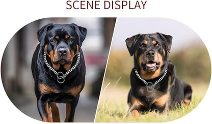 Dog Choke Collar Dogs Chain Choker Metal Slip P Link Training Collar Pet Puppy Martingale Collars for XS Small Medium Large Big XL Breed Dogs Silver (Silver, S(Neck Max 16inch) D2.5mm)