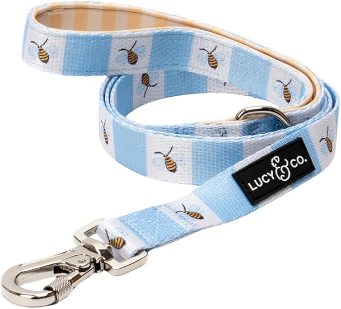 Lucy & Co. Bumbling Around Dog Leash, Durable Matching Dog Lead with Heavy Duty Hardware, Large
