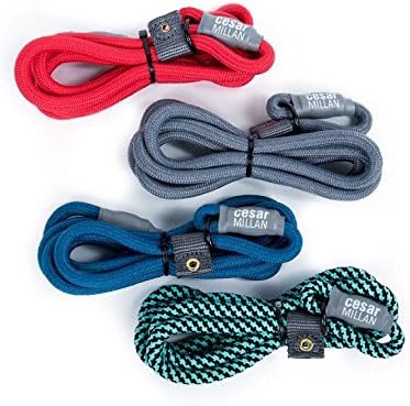 Cesar Millan Slip Lead Leash™ - 2-in-1 Slip Collar Dog Training Lead & Collar | Heavy Duty Durable Weatherproof Rope Leash, No Pull Training | Length 4ft Diameter 1/2”(Large, Grey)